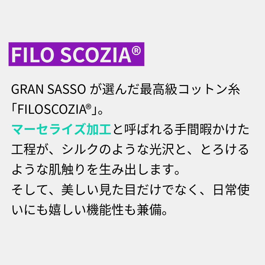 SALE|GRAN SASSO マーセライズコットン100% クルーネック半袖Tシャツ / FILO SCOZIA / SLOWEAR|422885 - 48|GUARDAROBA MILANO OFFICIAL STORE