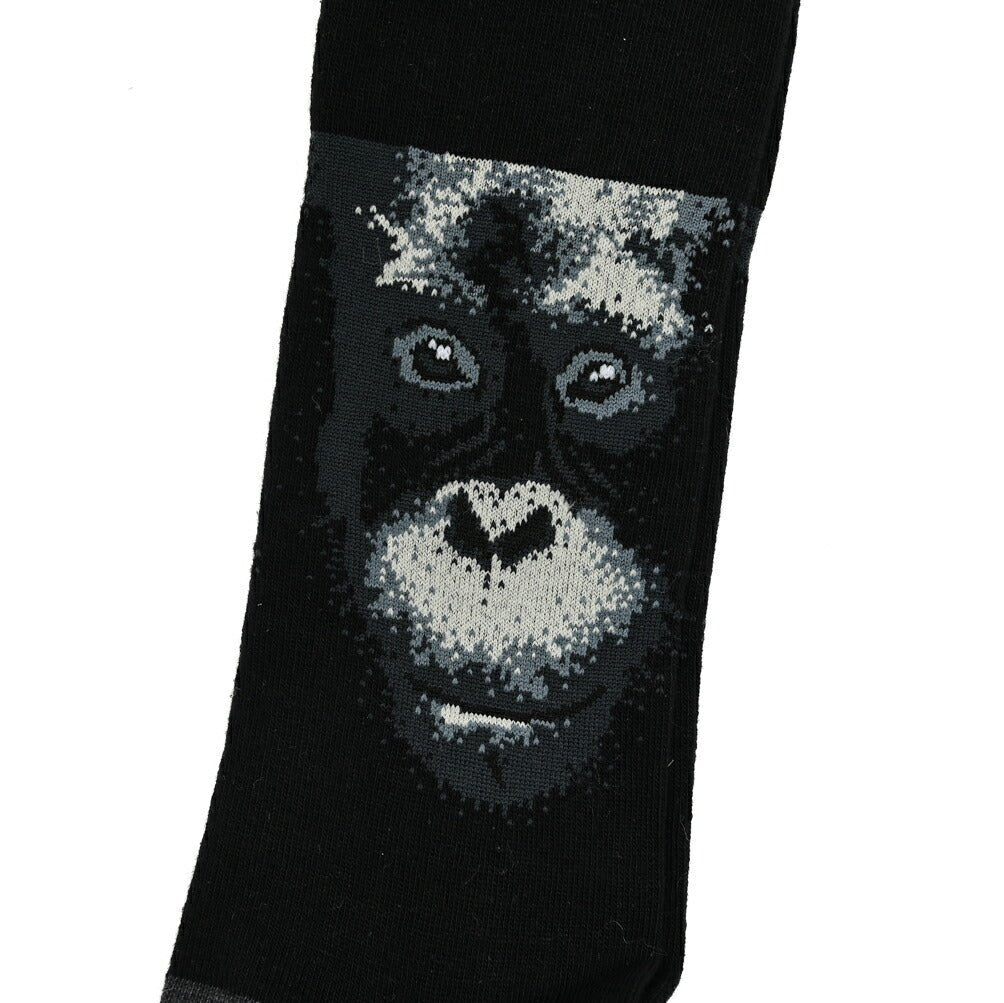 ALTO コットンナイロン ロングホーズソックス|393374 - 36|GUARDAROBA MILANO OFFICIAL STORE