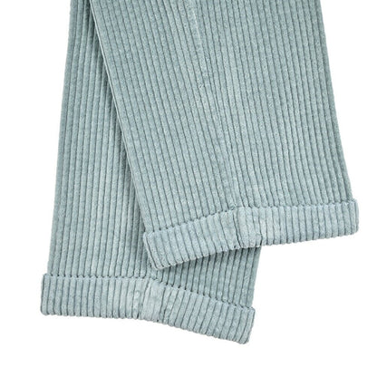 BERWICH “BARBER - GD” コットン100% 太畝コーデュロイツータックパンツ ブルー(ds1471) 44 | GUARDAROBA MILANO OFFICIAL STORE